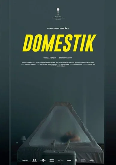  Домашний режим 