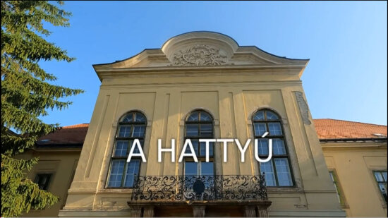  Лебедь 