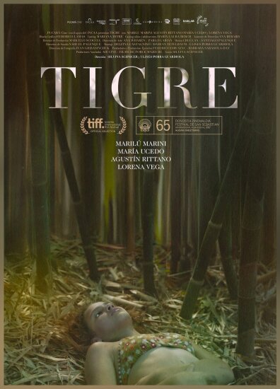  Тигр 