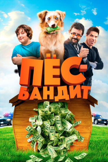  Пёс Бандит 